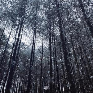 超级级碰碰费视频免
