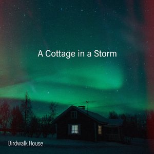 超级级碰碰费视频免
